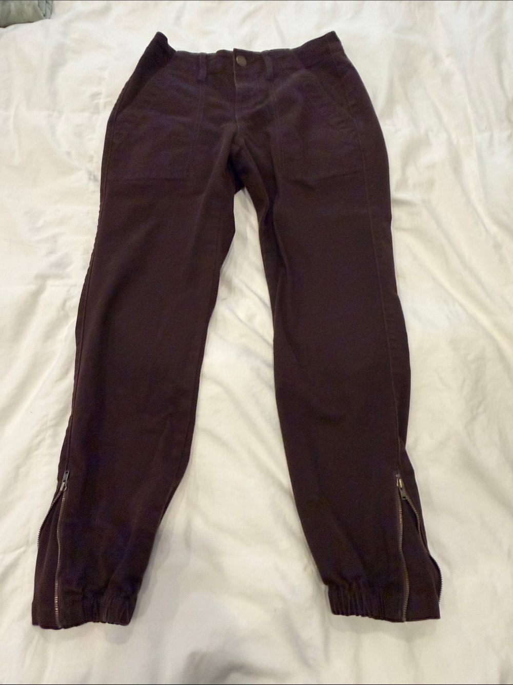 CAbi brown Jogger Pants with Ankle Zippers